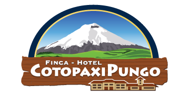 Caso: Cotopaxipungo Hotel